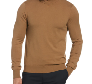 Long Sleeve Regular Fit Solid Tan Turtleneck